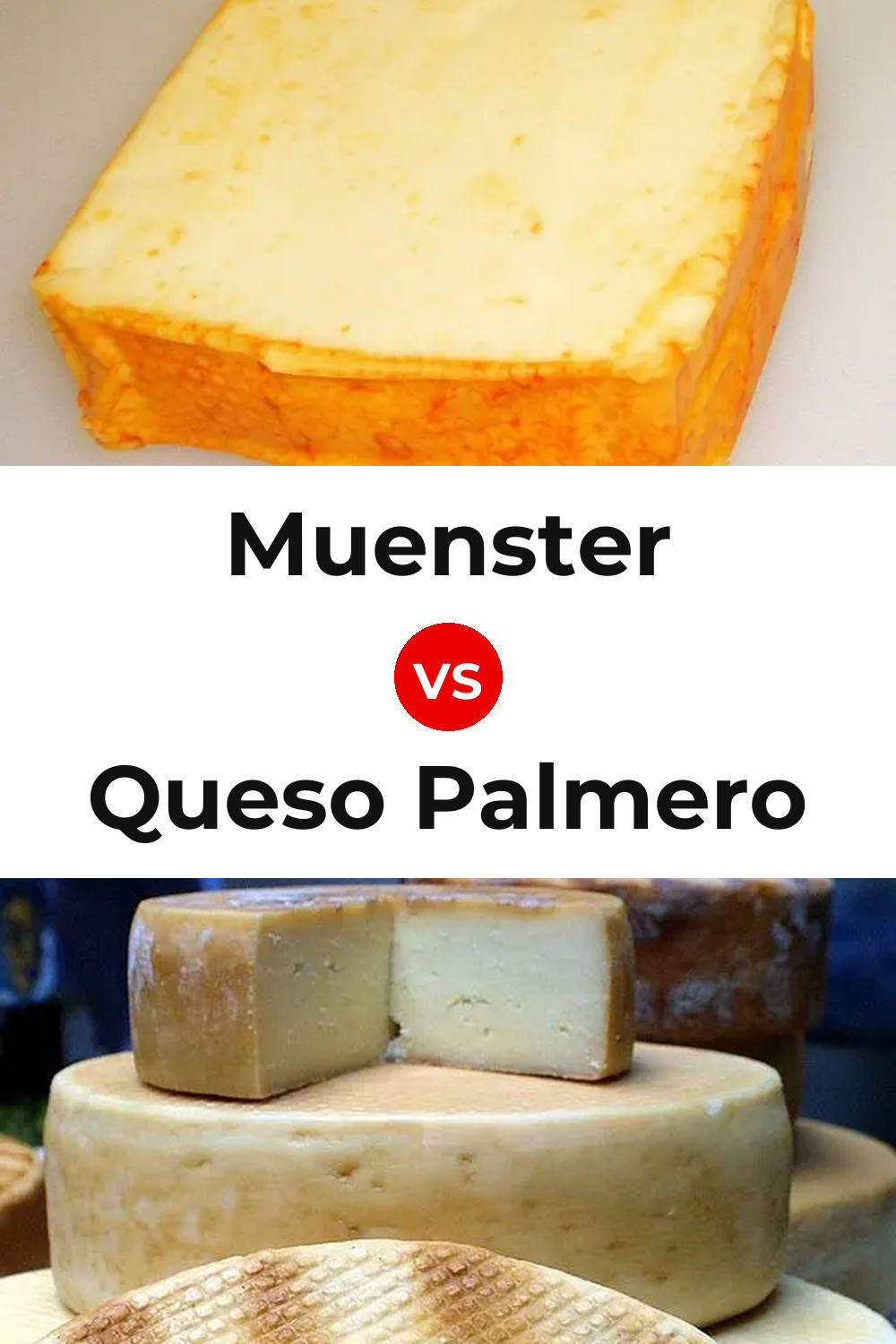 Muenster Cheese vs Queso Palmero Pinterest comparison