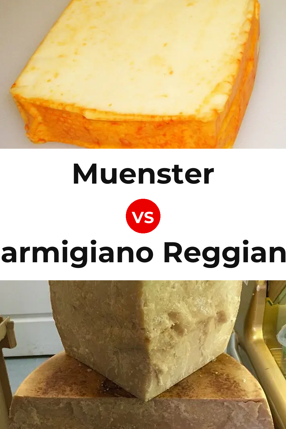Muenster Cheese vs Parmigiano Reggiano Cheese Pinterest comparison