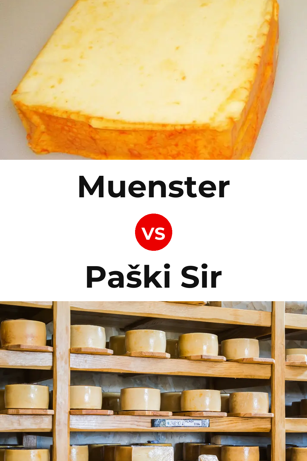 Muenster Cheese vs Paški Sir Cheese Pinterest comparison