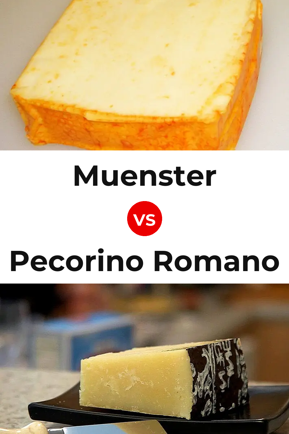 Muenster Cheese vs Pecorino Romano Cheese Pinterest comparison