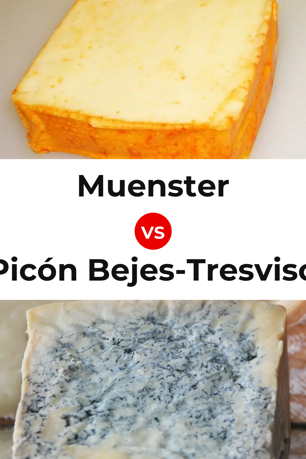 Muenster Cheese vs Picón Bejes-Tresviso Cheese Pinterest comparison