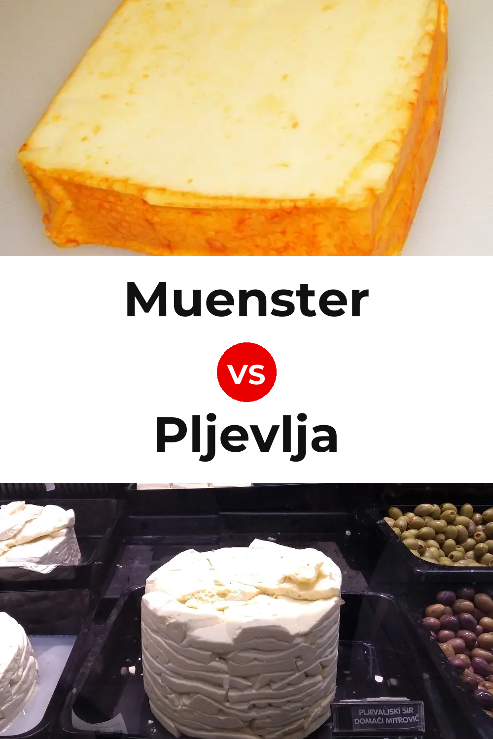 Muenster Cheese vs Pljevlja Cheese Pinterest comparison
