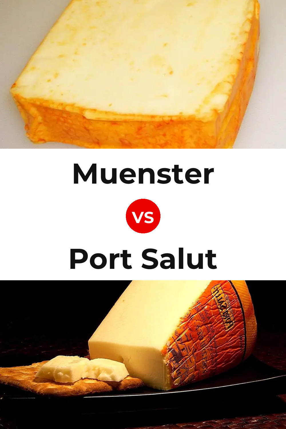 Muenster Cheese vs Port Salut Cheese Pinterest comparison