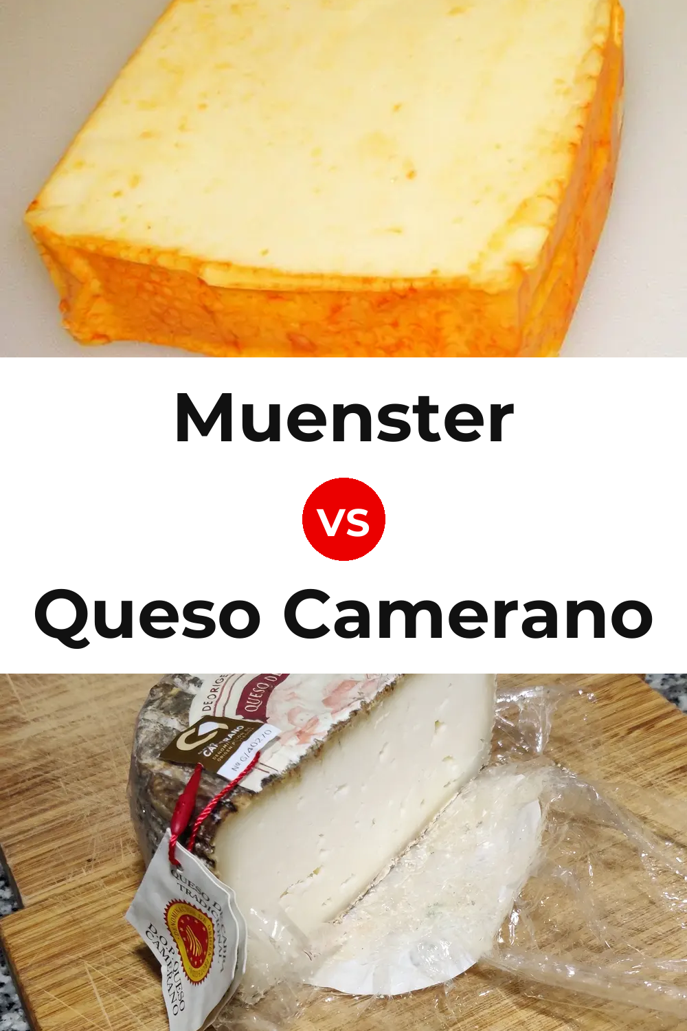 Muenster Cheese vs Queso Camerano Pinterest comparison