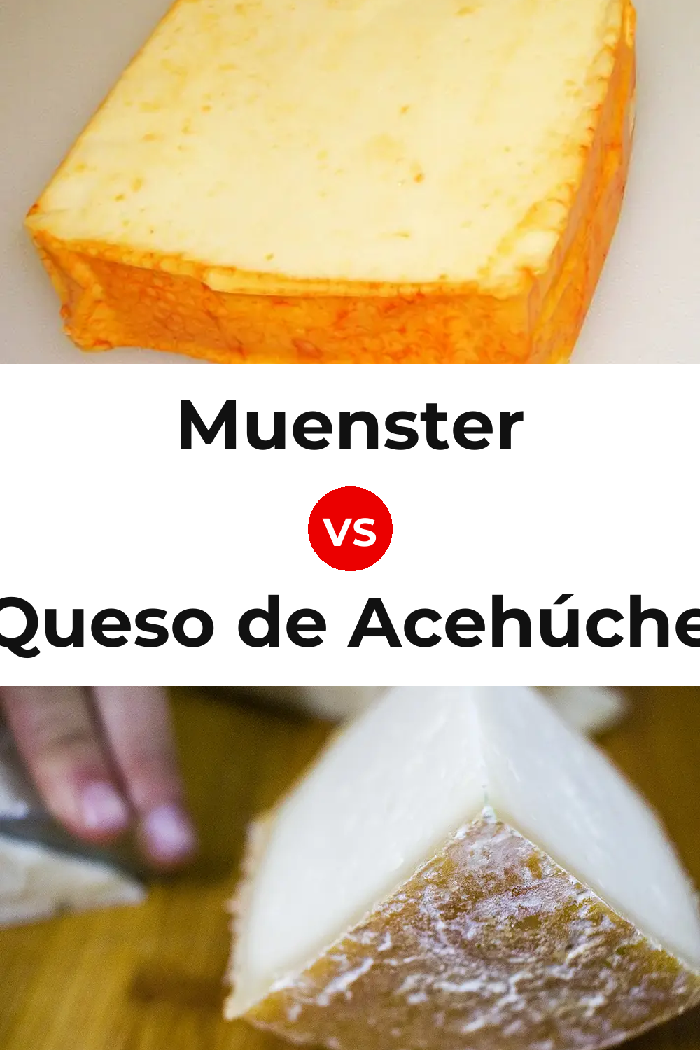 Muenster Cheese vs Queso de Acehúche Pinterest comparison
