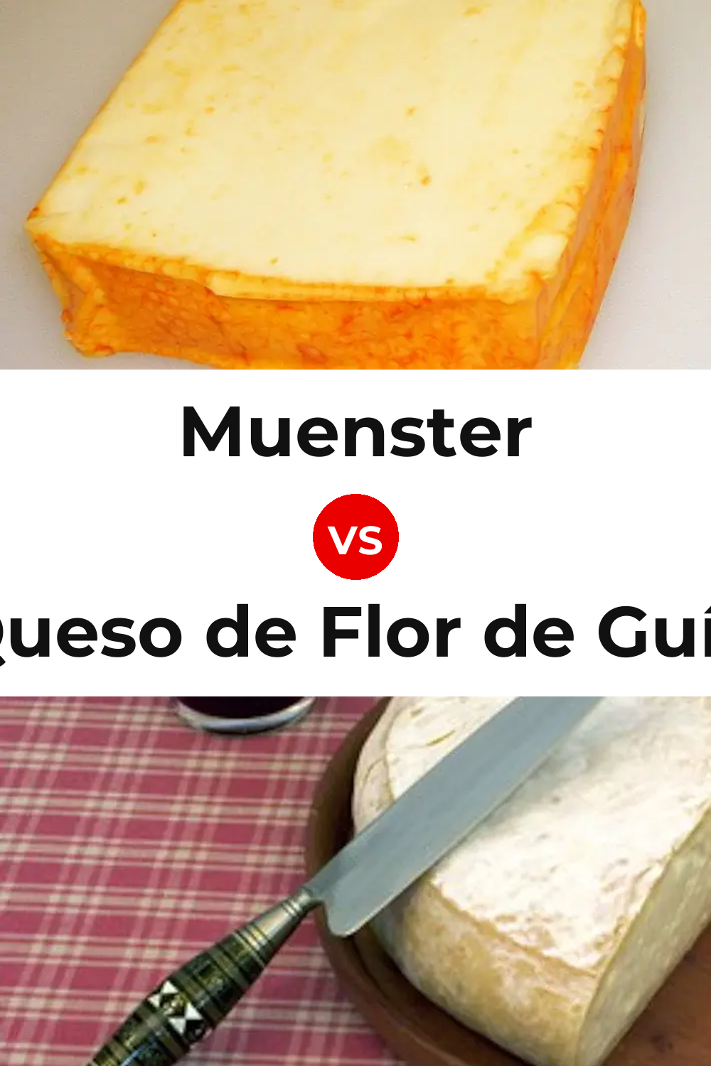 Muenster Cheese vs Queso de Flor de Guía Pinterest comparison