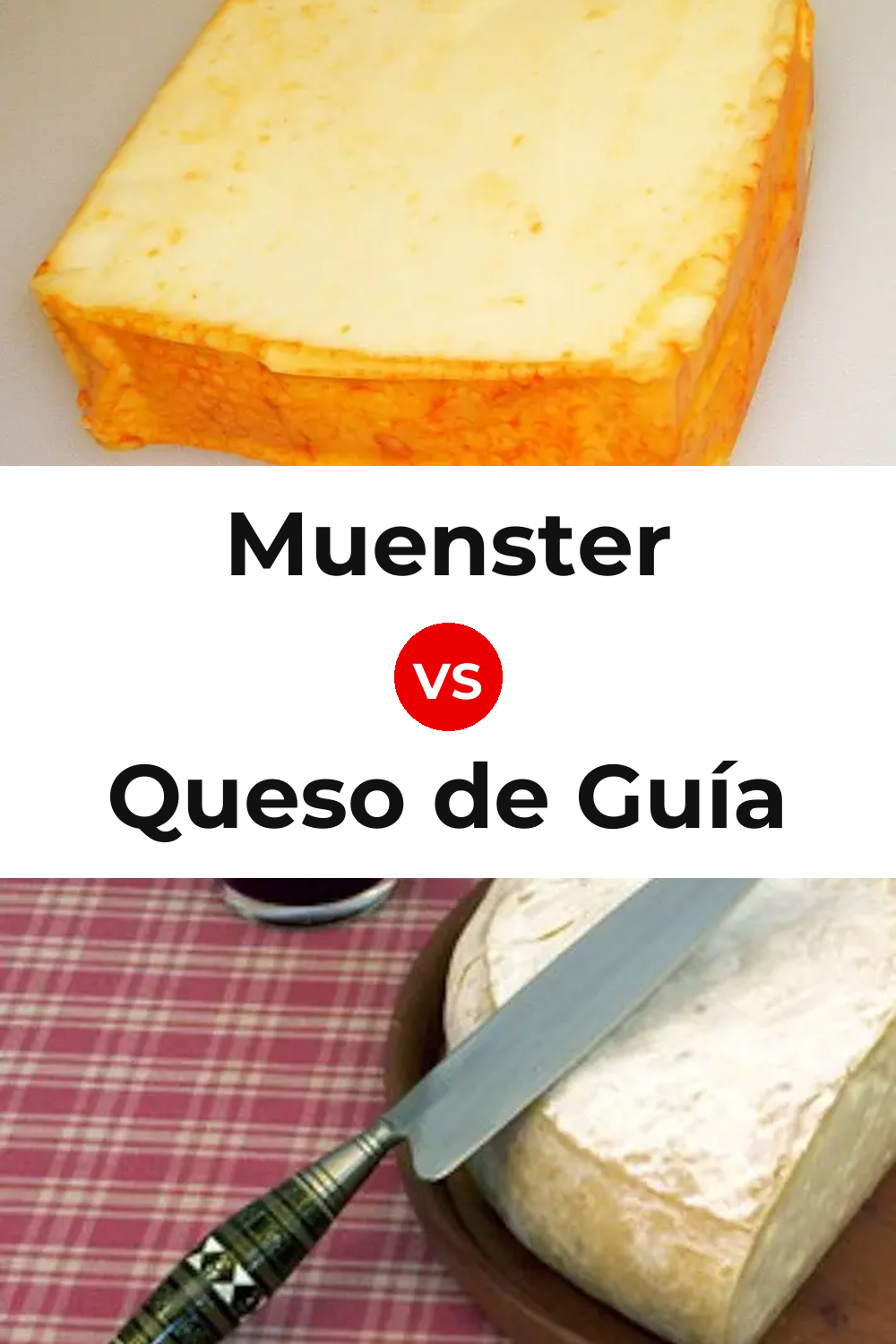 Muenster Cheese vs Queso de Guía Pinterest comparison
