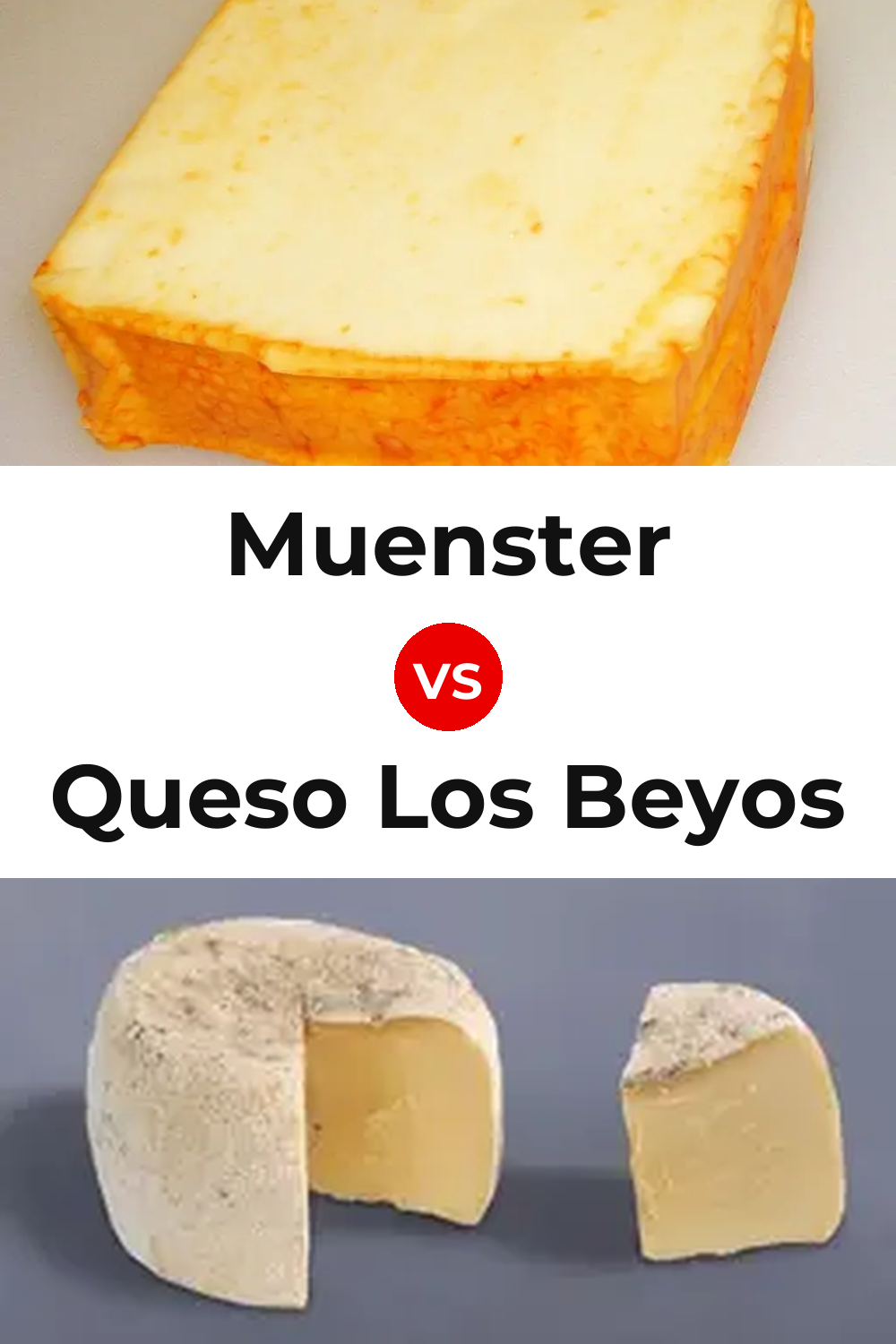Muenster Cheese vs Queso Los Beyos Pinterest comparison