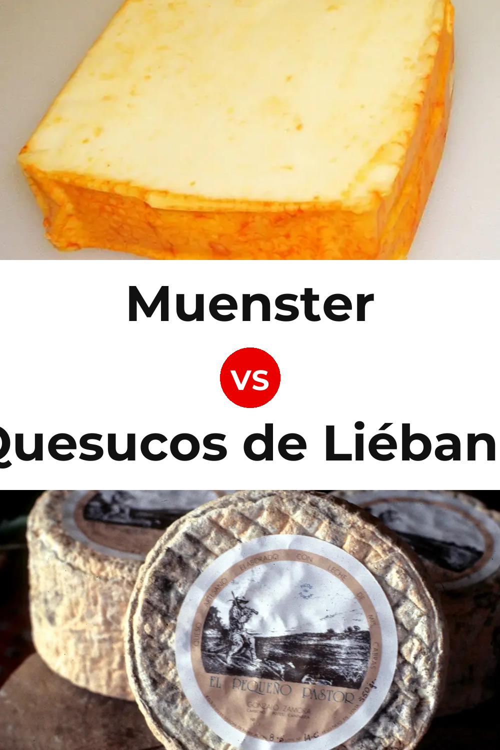 Muenster Cheese vs Quesucos de Liébana Cheese Pinterest comparison