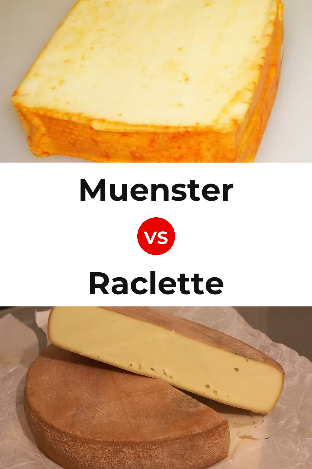 Muenster Cheese vs Raclette Cheese Pinterest comparison