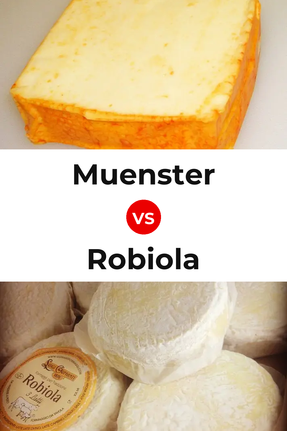 Muenster Cheese vs Robiola Cheese Pinterest comparison