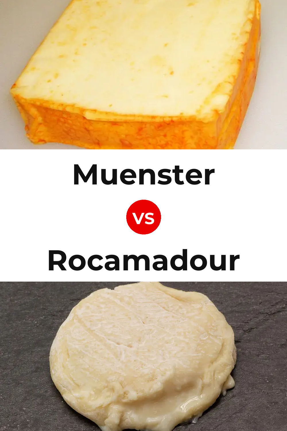 Muenster Cheese vs Rocamadour Cheese Pinterest comparison