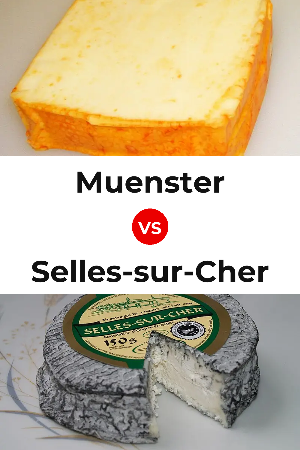 Muenster Cheese vs Selles-sur-Cher Cheese Pinterest comparison