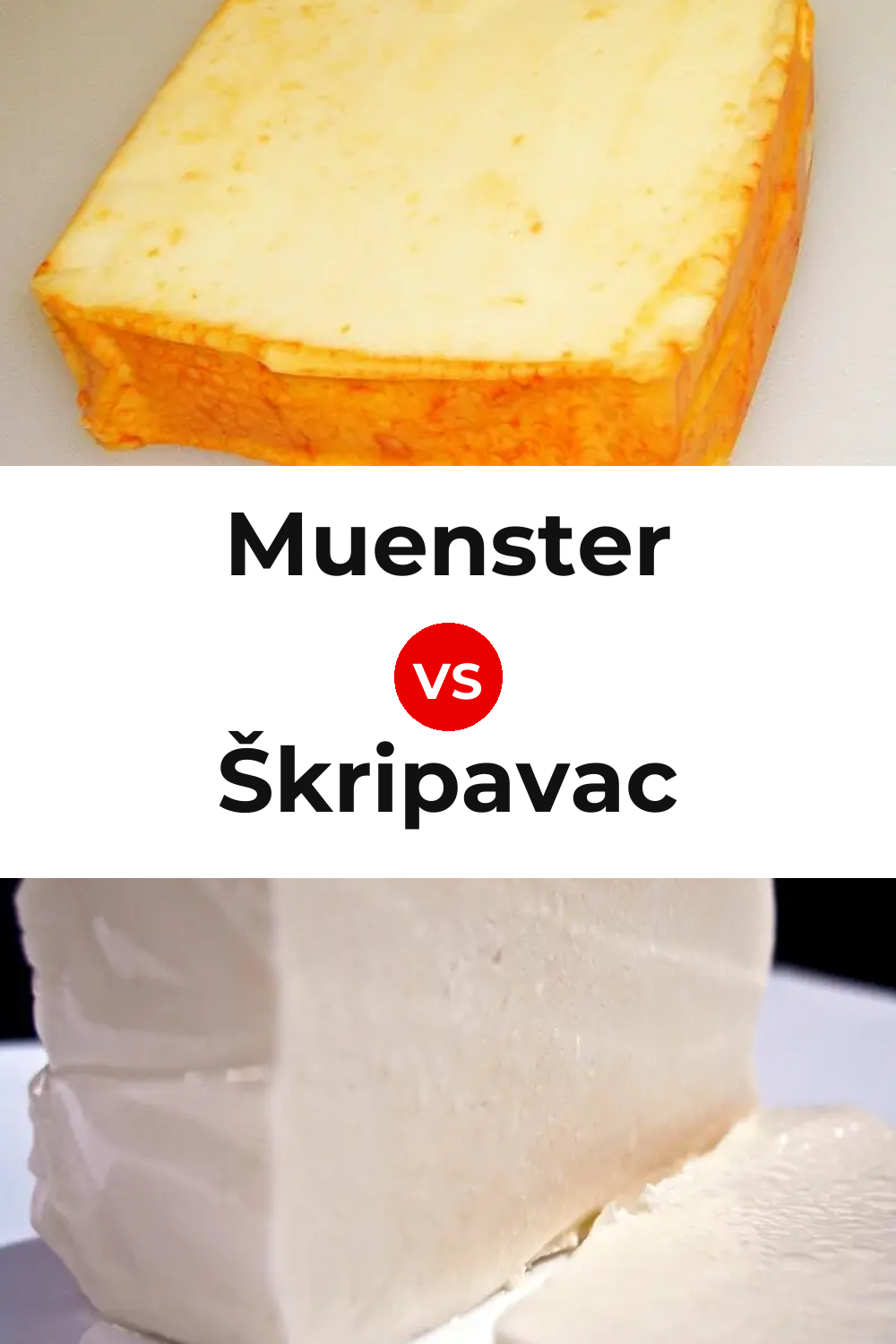 Muenster Cheese vs Škripavac Cheese Pinterest comparison
