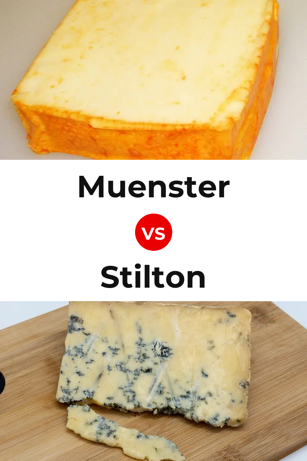 Muenster Cheese vs Stilton Cheese Pinterest comparison