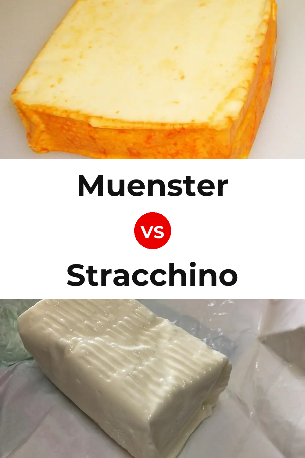 Muenster Cheese vs Stracchino Cheese Pinterest comparison
