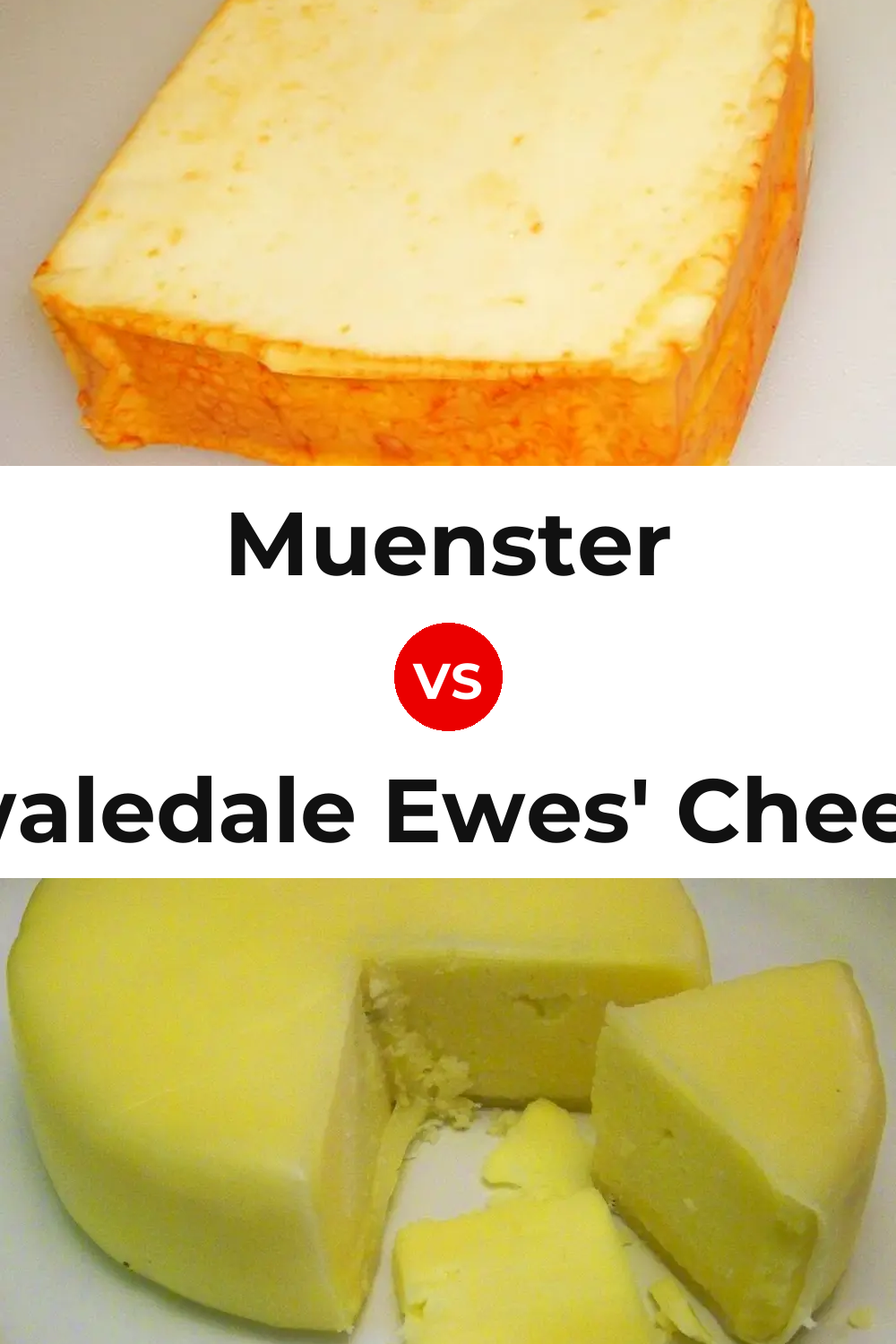 Muenster Cheese vs Swaledale Ewes' Cheese Pinterest comparison