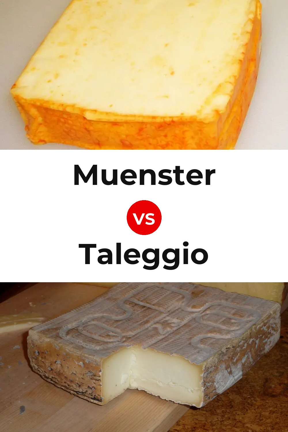Muenster Cheese vs Taleggio Cheese Pinterest comparison