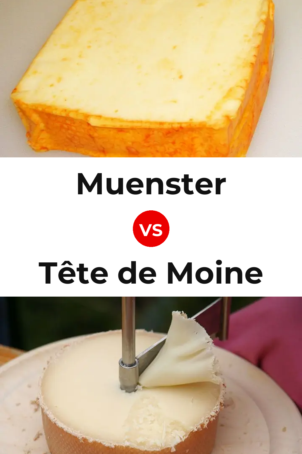 Muenster Cheese vs Tête de Moine Cheese Pinterest comparison