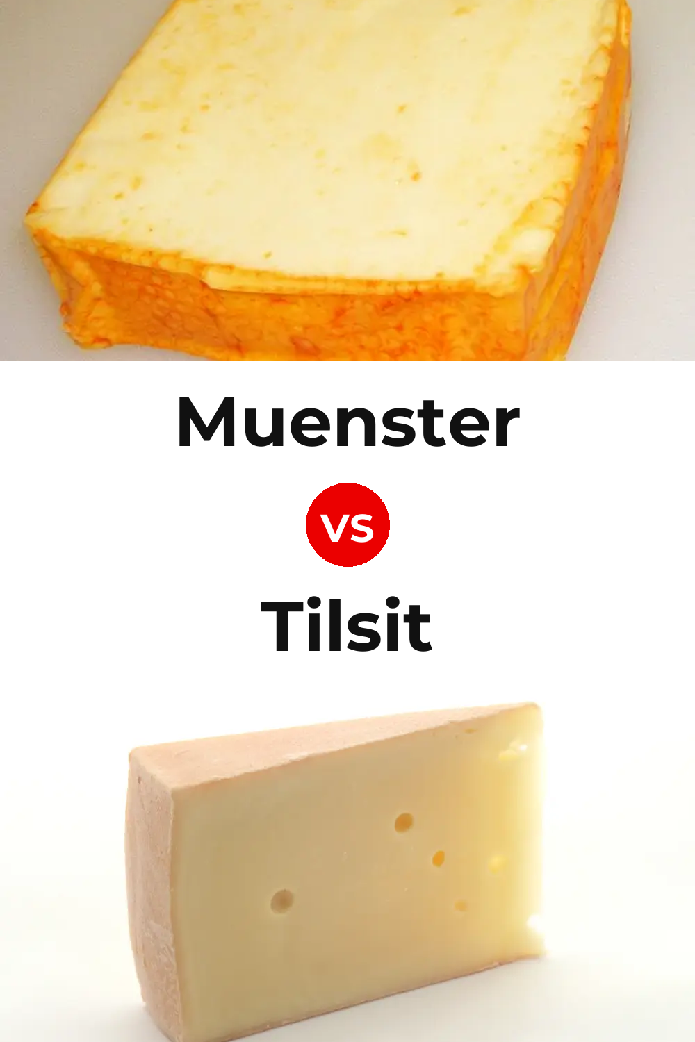 Muenster Cheese vs Tilsit Cheese Pinterest comparison