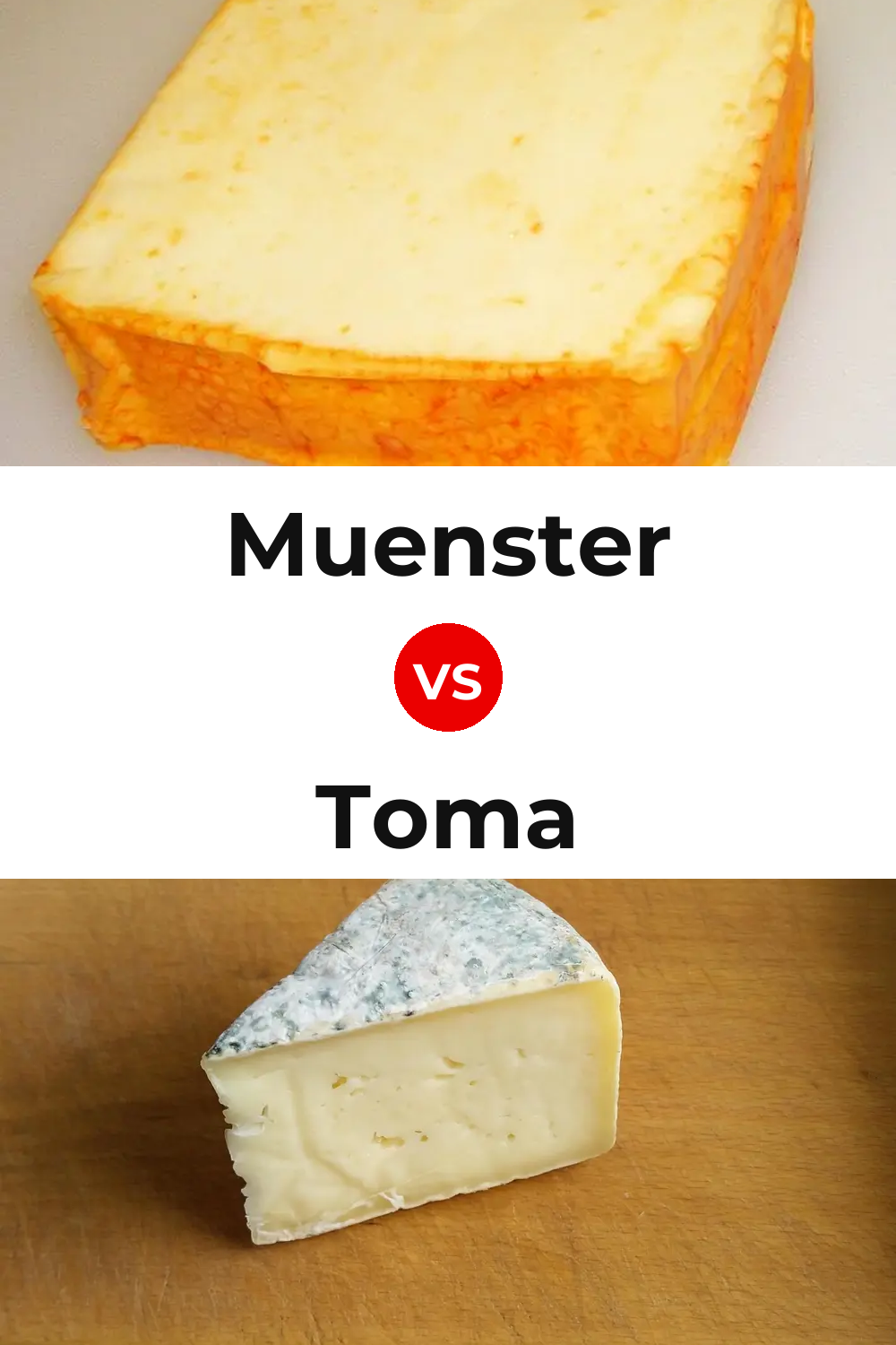 Muenster Cheese vs Toma Cheese Pinterest comparison