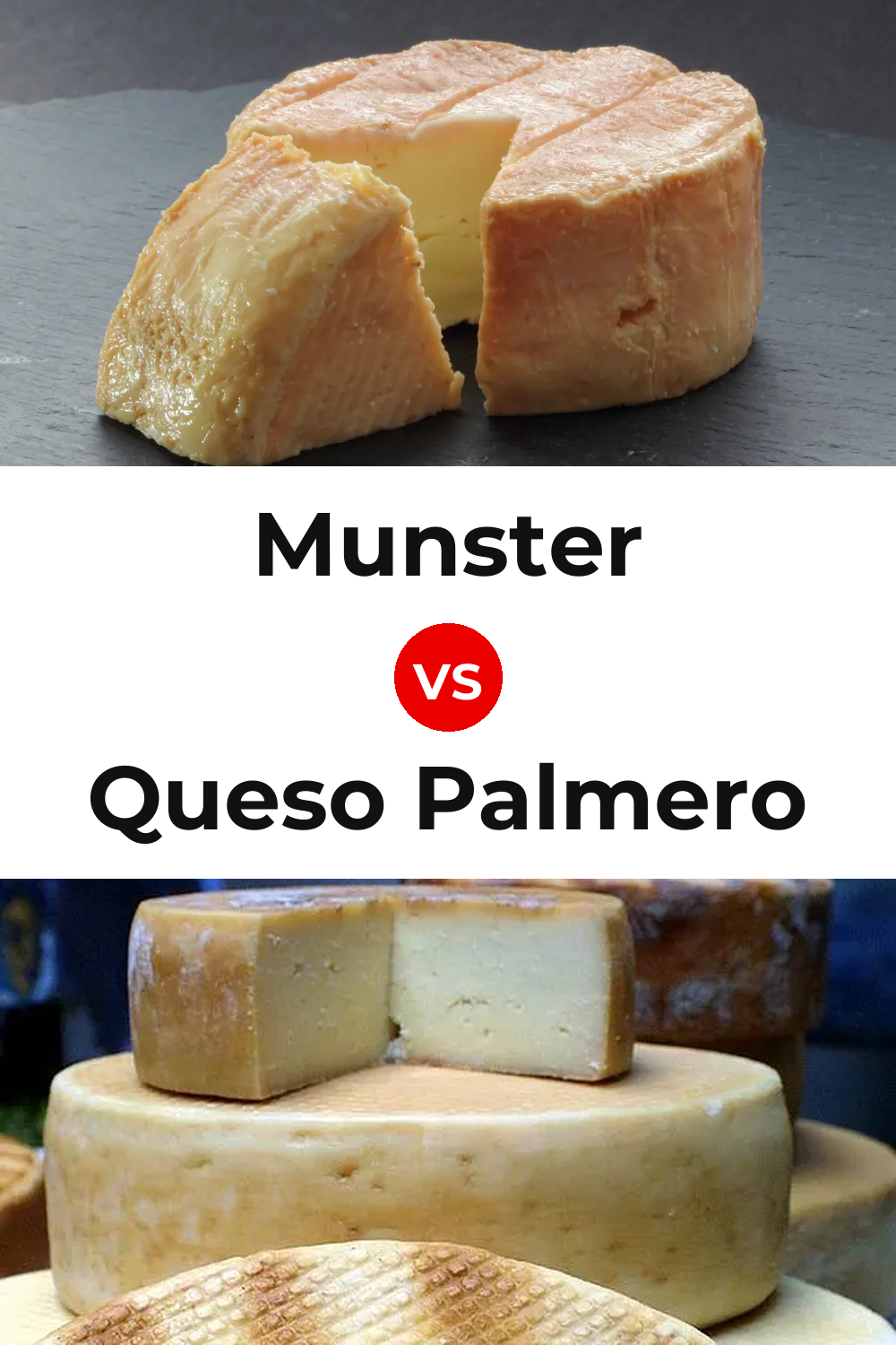 Munster Cheese vs Queso Palmero Pinterest comparison