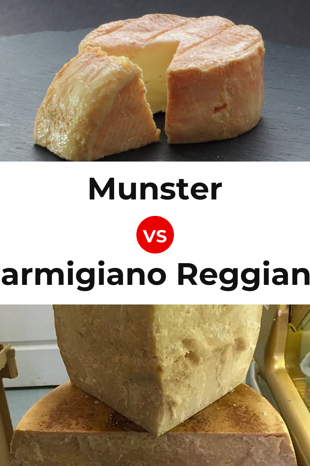 Munster Cheese vs Parmigiano Reggiano Cheese Pinterest comparison