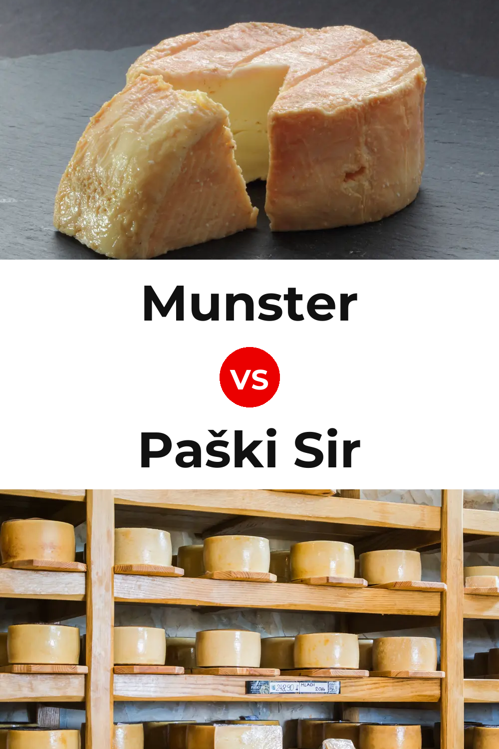 Munster Cheese vs Paški Sir Cheese Pinterest comparison