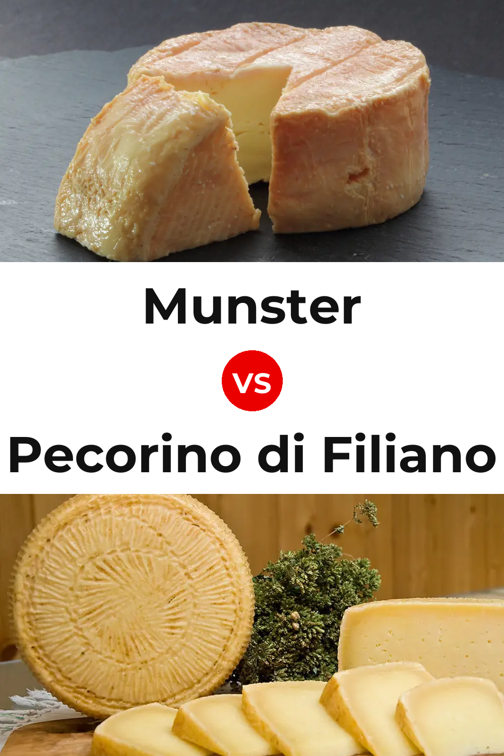 Munster Cheese vs Pecorino di Filiano Cheese Pinterest comparison