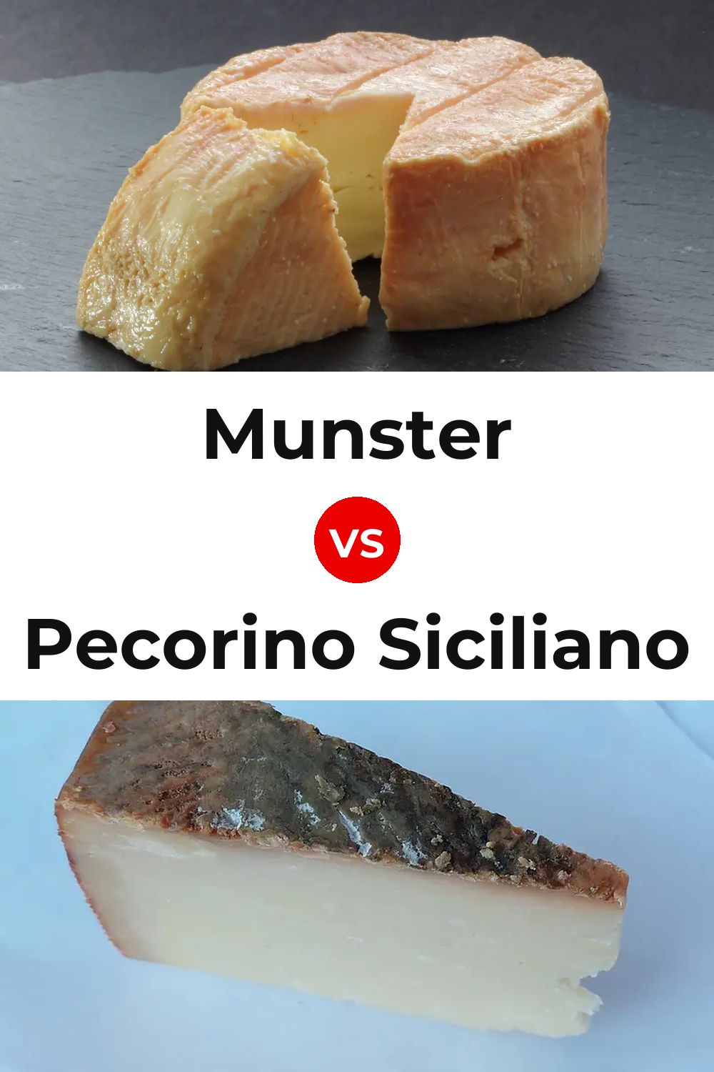 Munster Cheese vs Pecorino Siciliano Cheese Pinterest comparison
