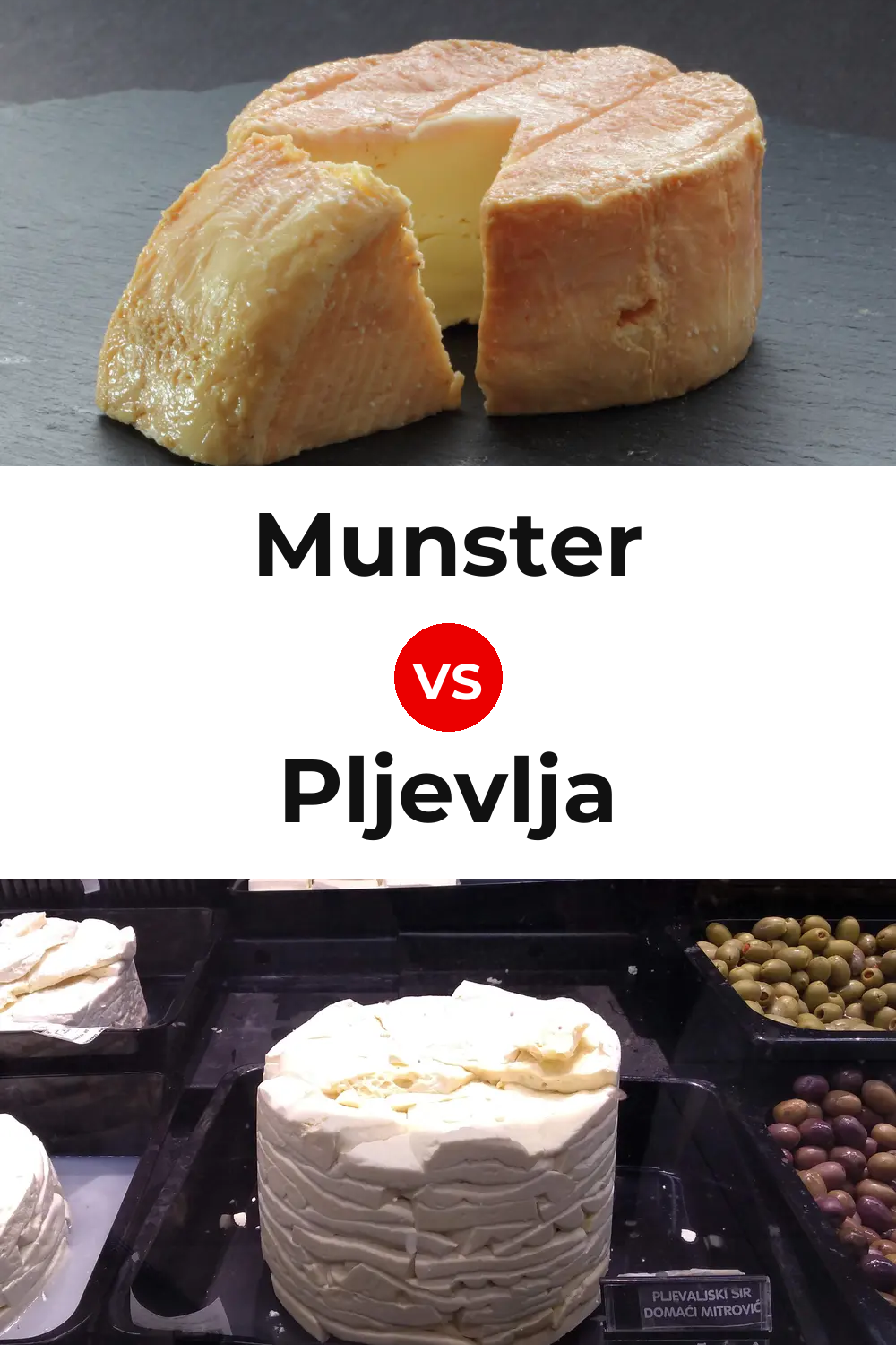Munster Cheese vs Pljevlja Cheese Pinterest comparison