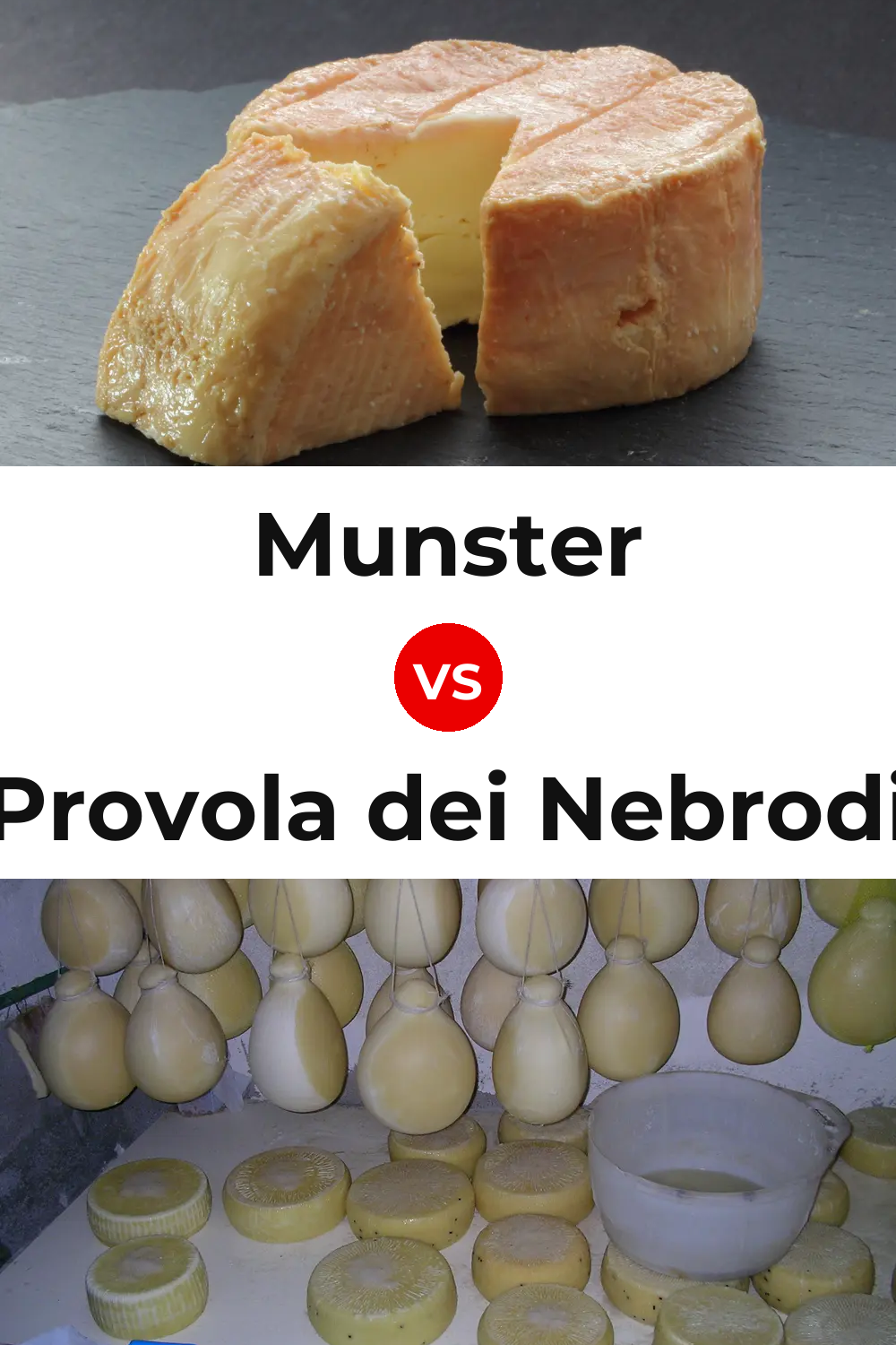 Munster Cheese vs Provola dei Nebrodi Cheese Pinterest comparison