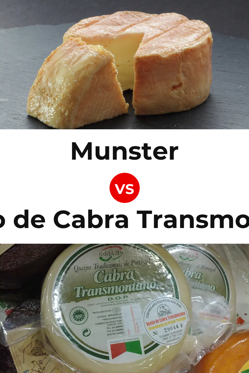 Munster Cheese vs Queijo de Cabra Transmontano Pinterest comparison