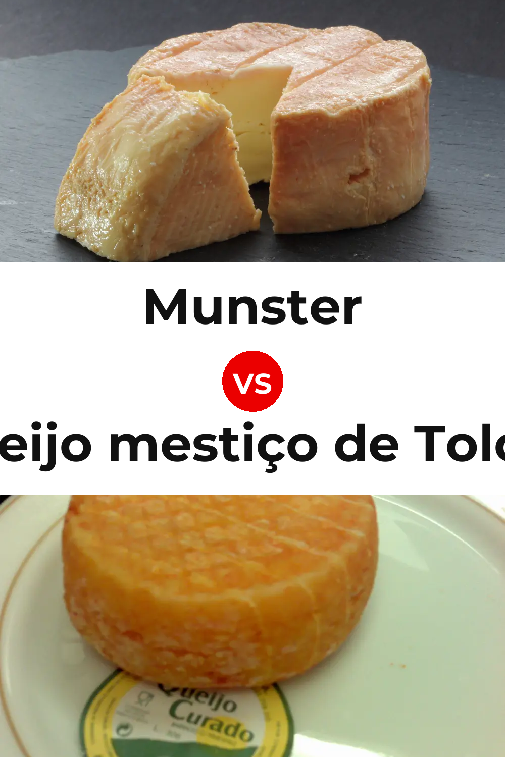 Munster Cheese vs Queijo mestiço de Tolosa Pinterest comparison