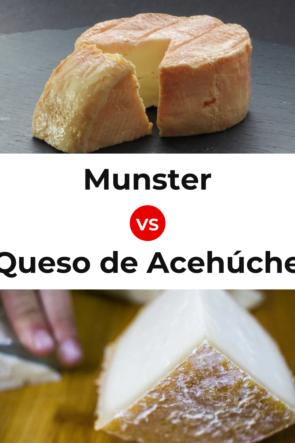 Munster Cheese vs Queso de Acehúche Pinterest comparison