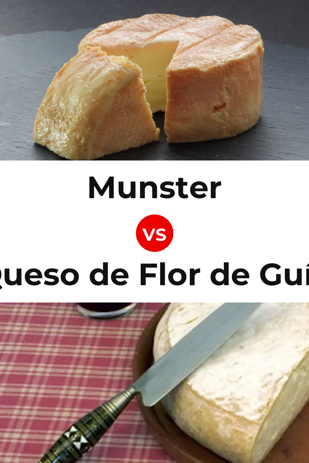 Munster Cheese vs Queso de Flor de Guía Pinterest comparison