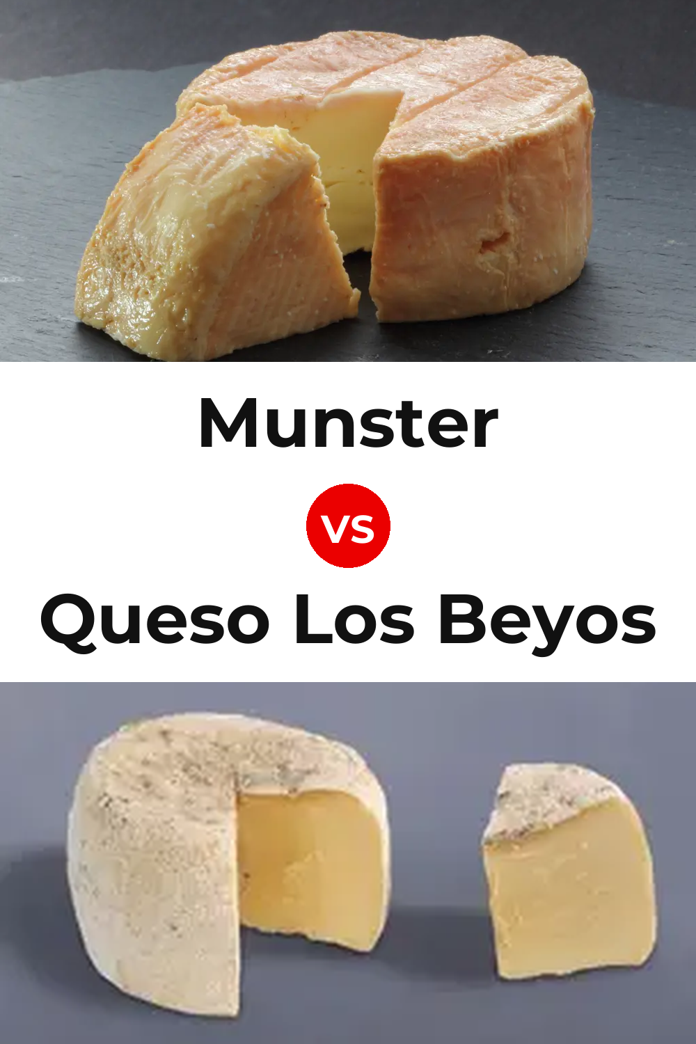 Munster Cheese vs Queso Los Beyos Pinterest comparison
