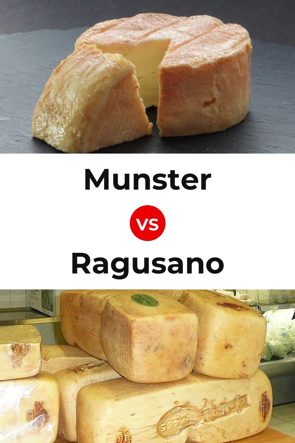 Munster Cheese vs Ragusano Cheese Pinterest comparison