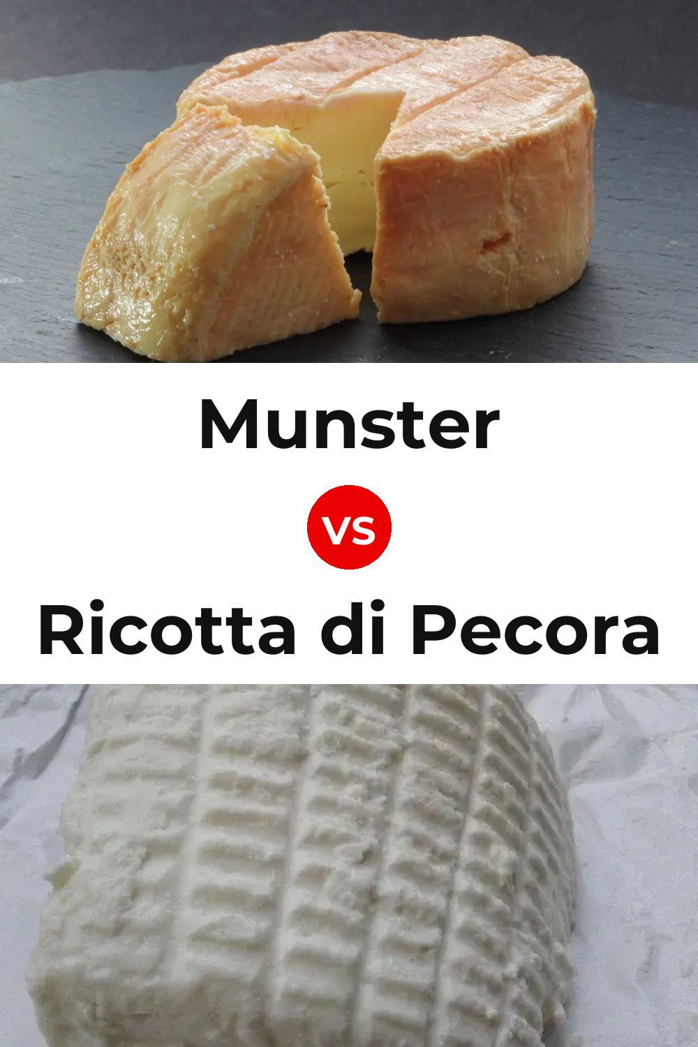 Munster Cheese vs Ricotta di Pecora Cheese Pinterest comparison