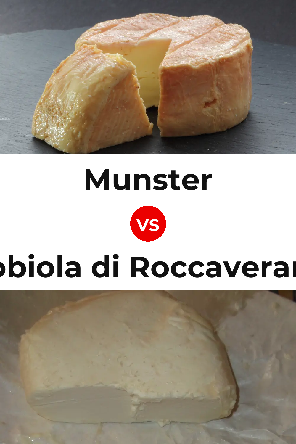 Munster Cheese vs Robiola di Roccaverano Cheese Pinterest comparison