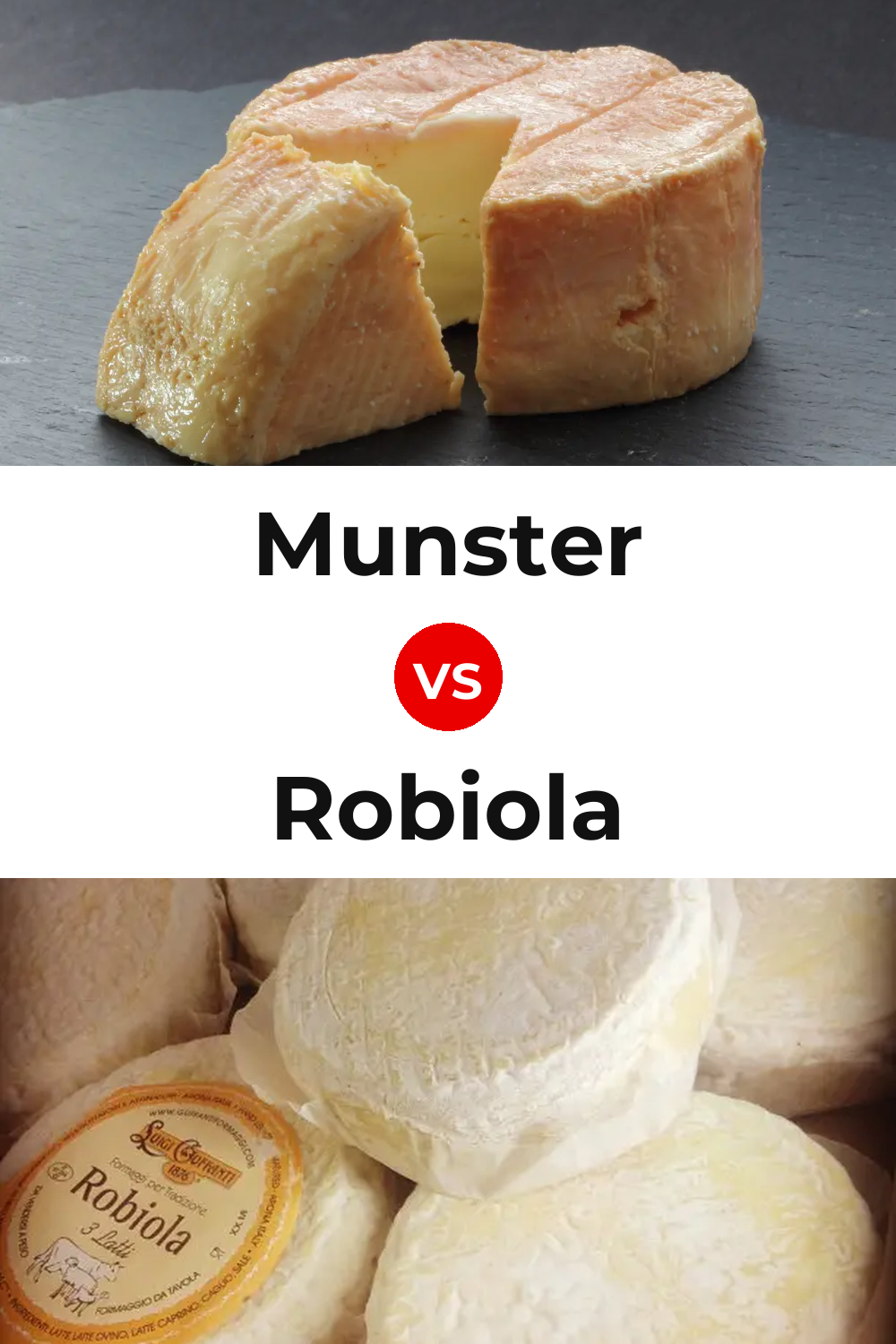 Munster Cheese vs Robiola Cheese Pinterest comparison