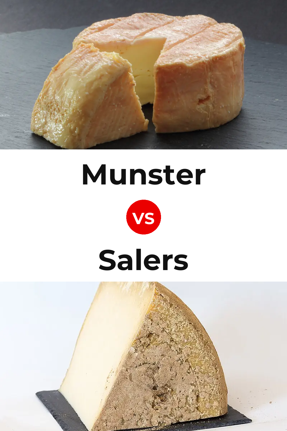 Munster Cheese vs Salers Cheese Pinterest comparison