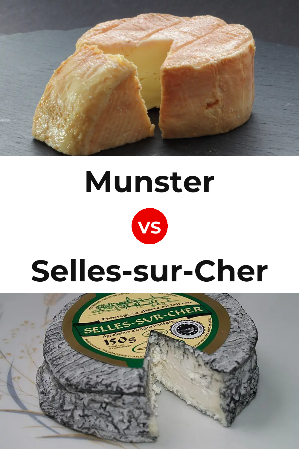Munster Cheese vs Selles-sur-Cher Cheese Pinterest comparison