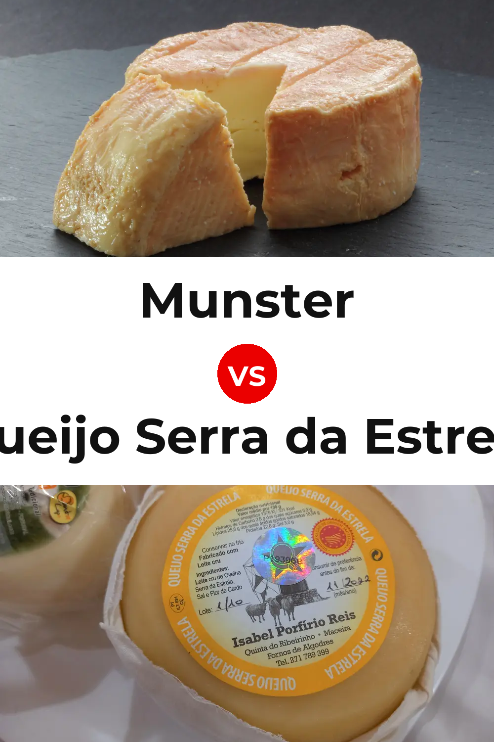 Munster Cheese vs Queijo Serra da Estrela Pinterest comparison