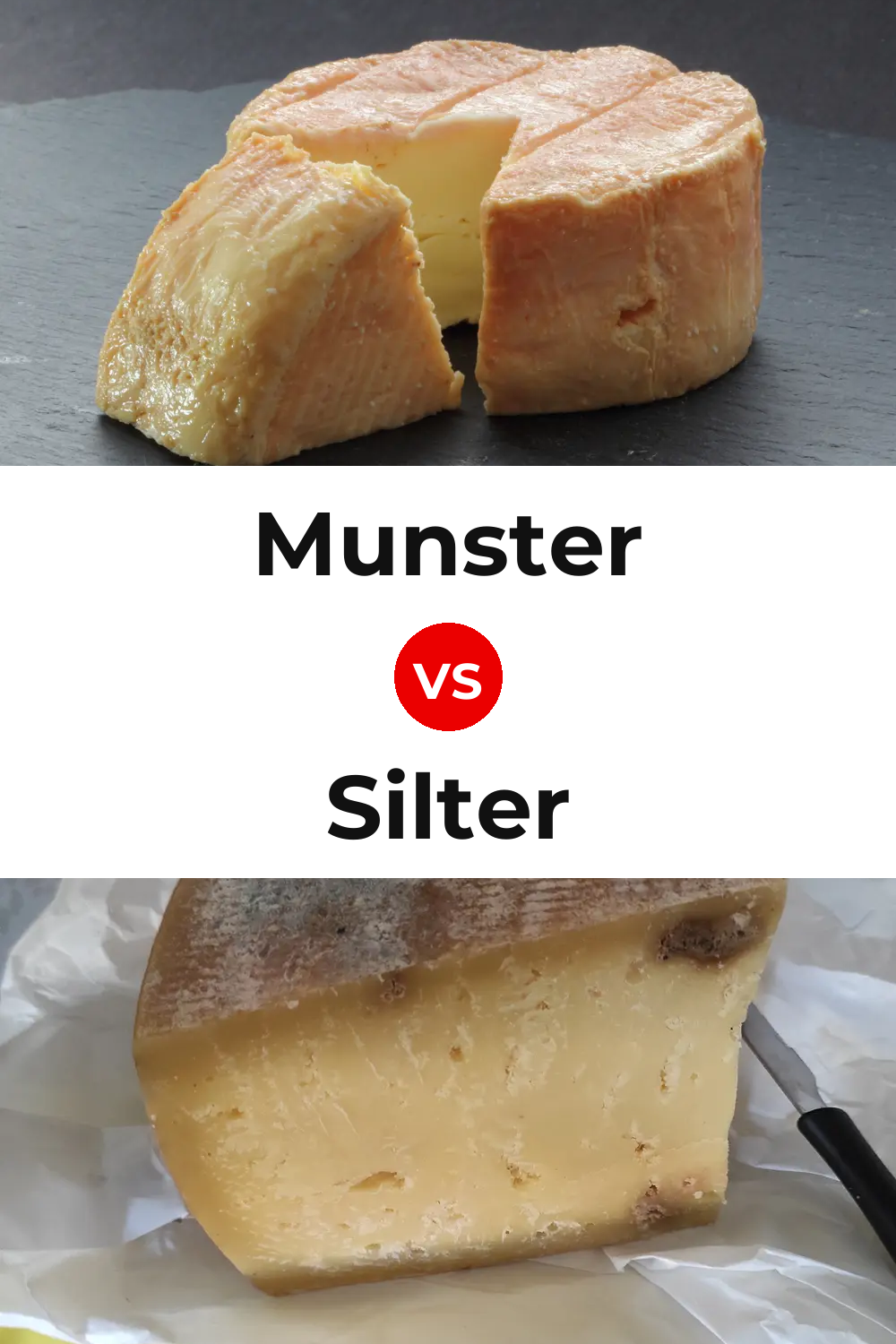 Munster Cheese vs Silter Cheese Pinterest comparison