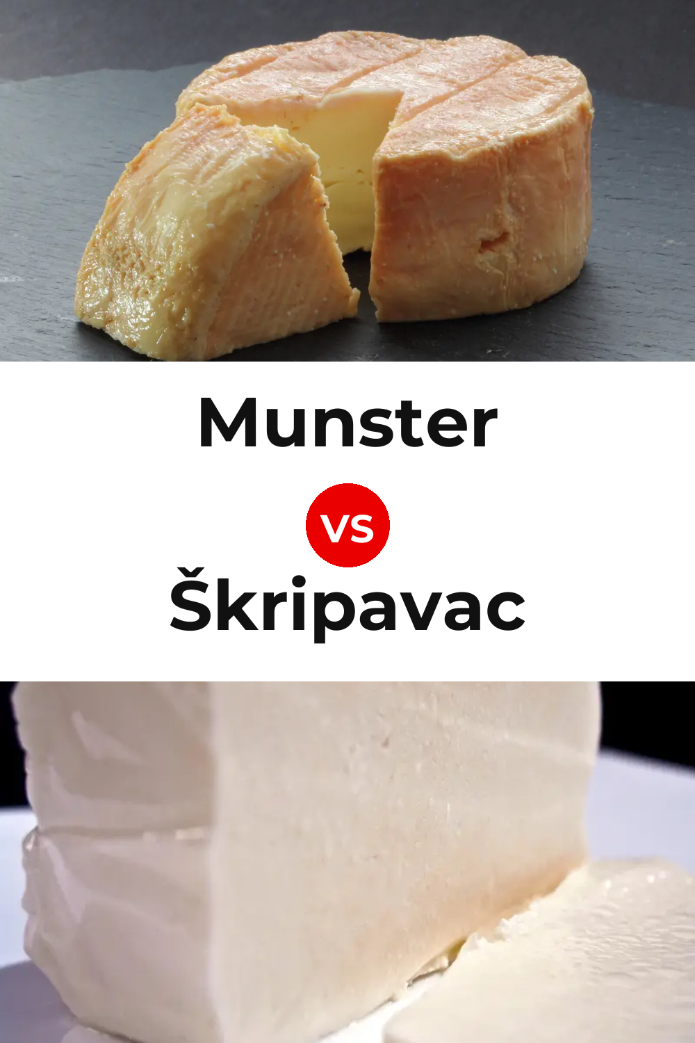 Munster Cheese vs Škripavac Cheese Pinterest comparison
