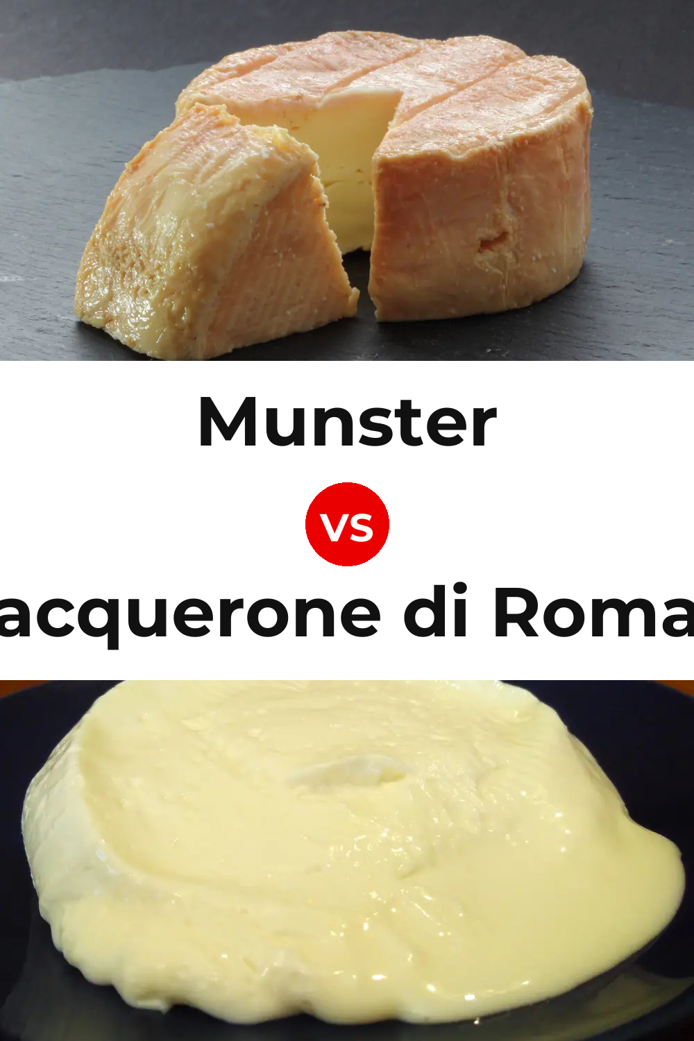 Munster Cheese vs Squacquerone di Romagna Cheese Pinterest comparison