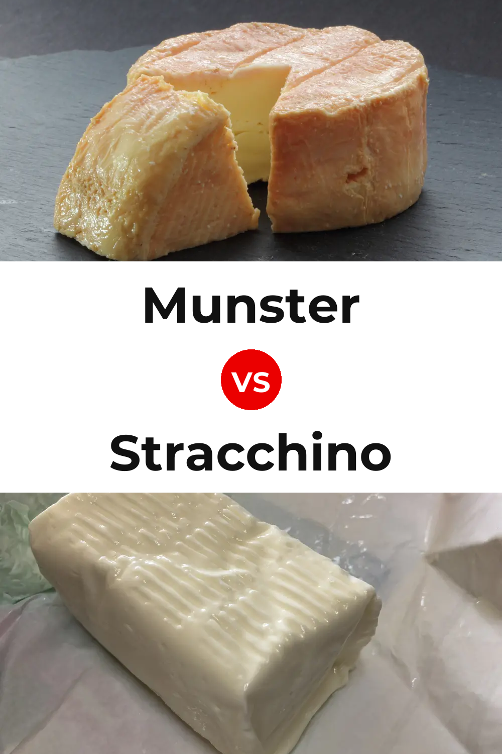 Munster Cheese vs Stracchino Cheese Pinterest comparison