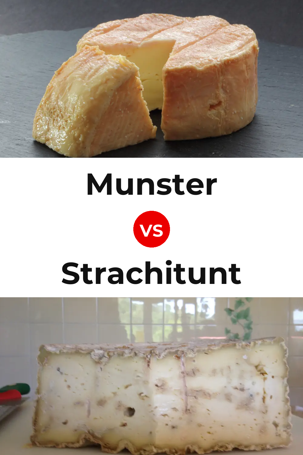 Munster Cheese vs Strachitunt Cheese Pinterest comparison