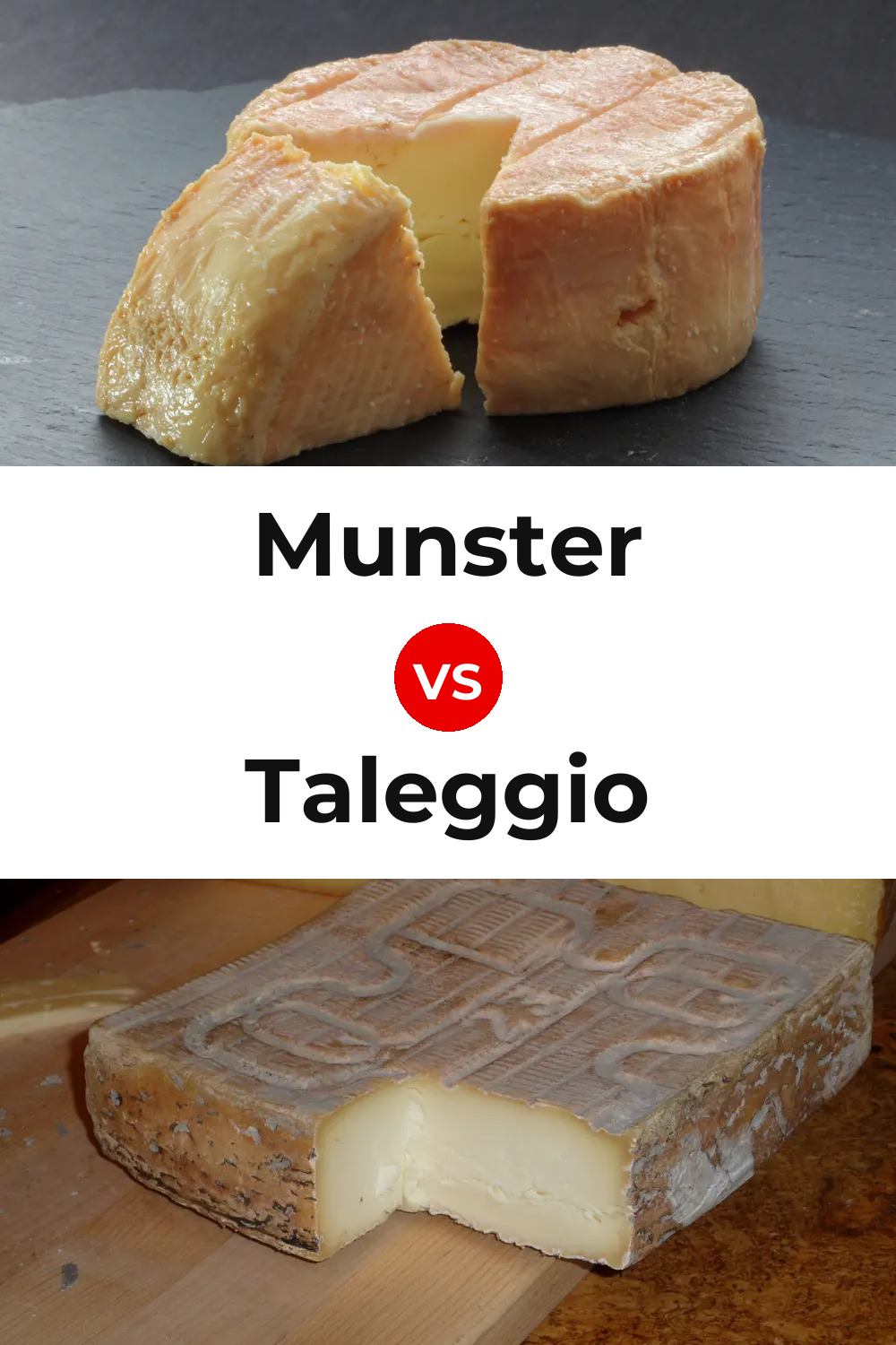 Munster Cheese vs Taleggio Cheese Pinterest comparison